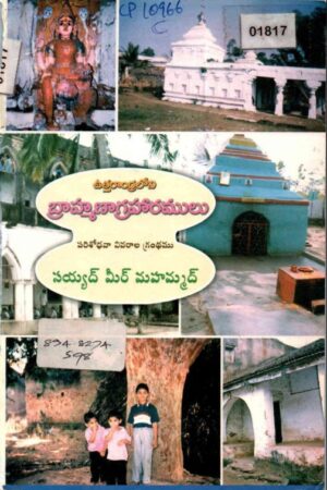 Uttaraandra loni brahmanaagraharalu