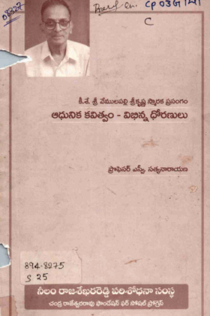 Adhunika Kavithvam-Binna Dhoranulu