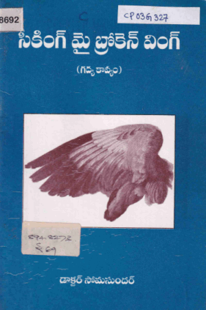 seeking my broken wing