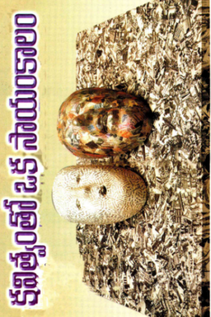 Kavithwamtho Oka Sayamkaalam